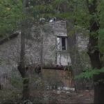 Casa nel bosco
